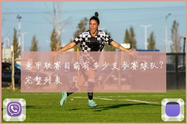 意甲联赛目前有多少支参赛球队？完整列表