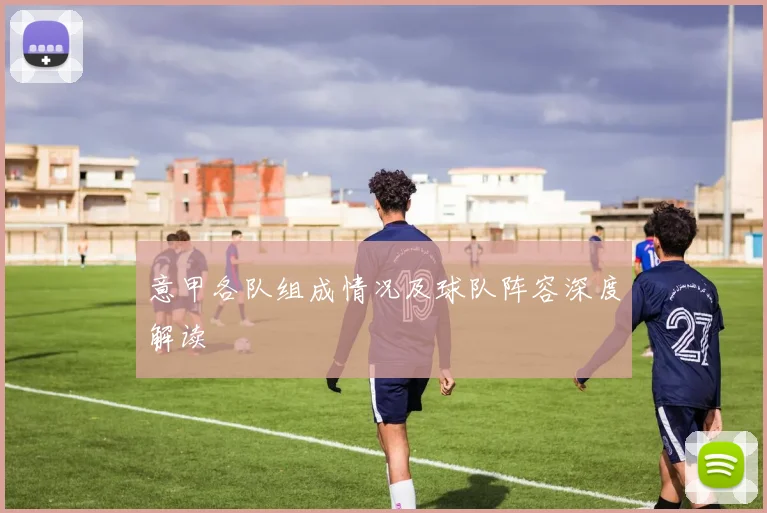 意甲各队组成情况及球队阵容深度解读