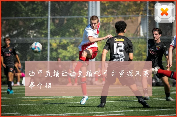 西甲直播西西直播吧平台资源及赛事介绍